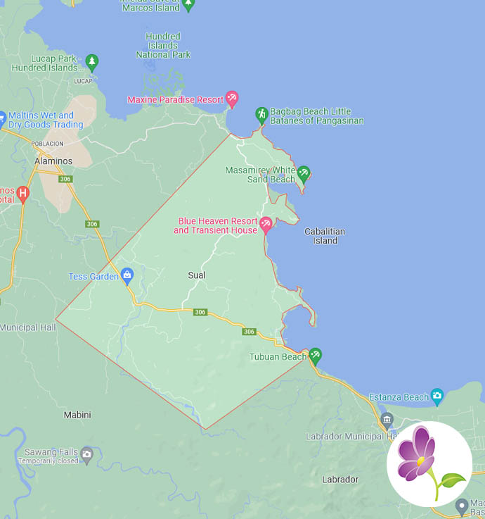 Tin's Flower Shop Flowers Delivered to Sual in Pangasinan FREE Delivery